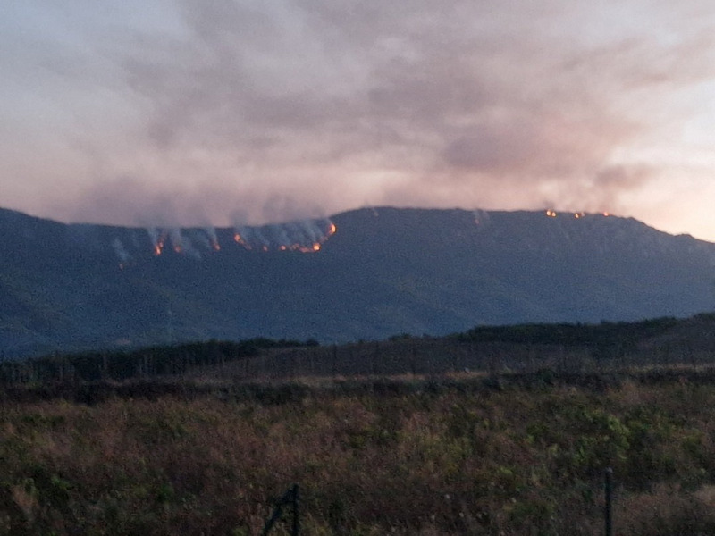 Požar na Suvoj planini ide i ka selima kod Bele Palanke, meštani zabrinuti